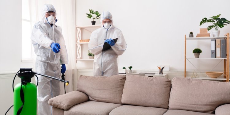 Tips For Enhancing Odor Control In Your Home