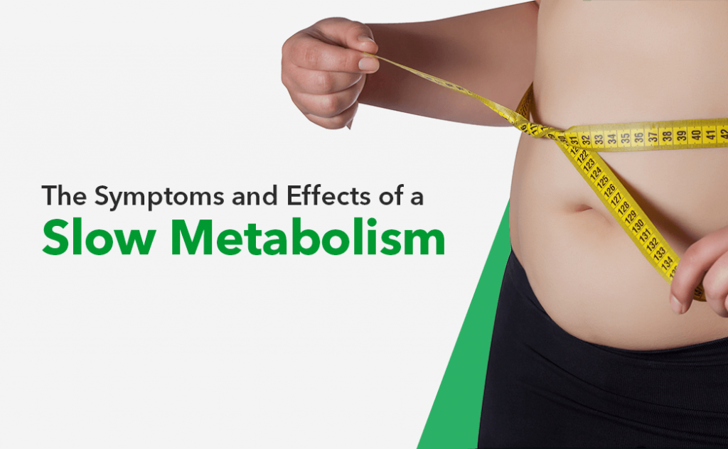 Analyze the influence of hormonal and metabolic factors on weight loss and muscle gain