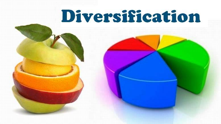 Investment Diversification Why It Matters for Your Portfolio