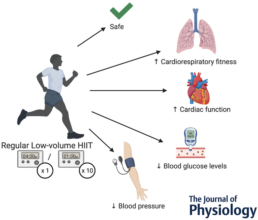 Analyze the impact of different exercise modalities on various health and fitness outcomes
